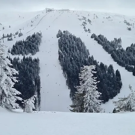 Mountain Side *
