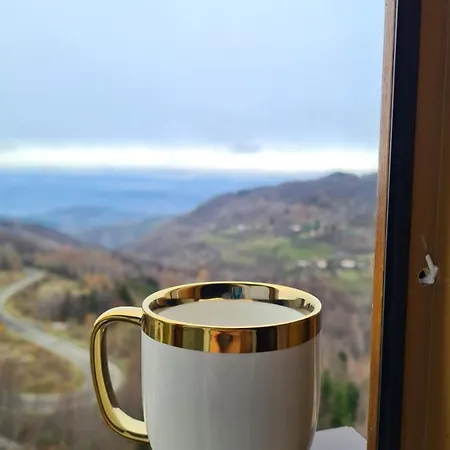 Apartament Mountain Side *
