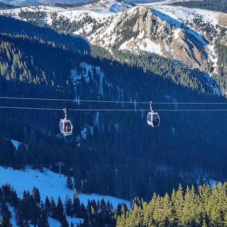 Mountain Side * Κοπαόνικ