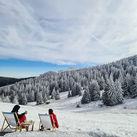 Mountain Side Kopaonik
