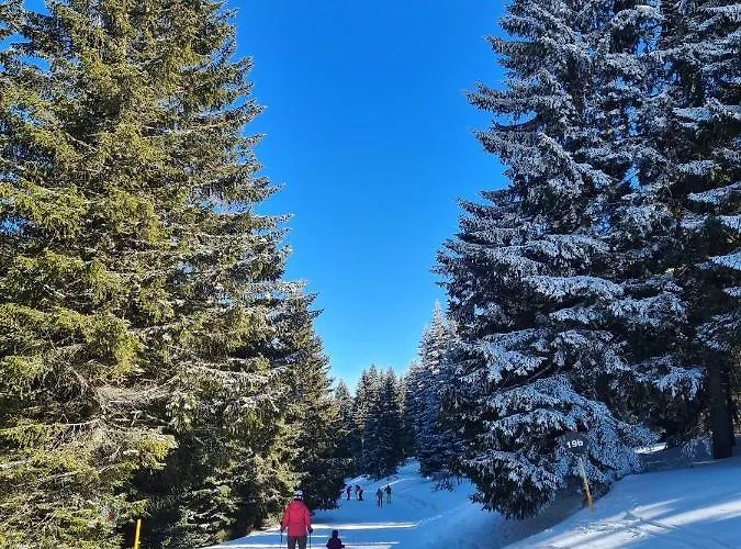 Apartament Mountain Side