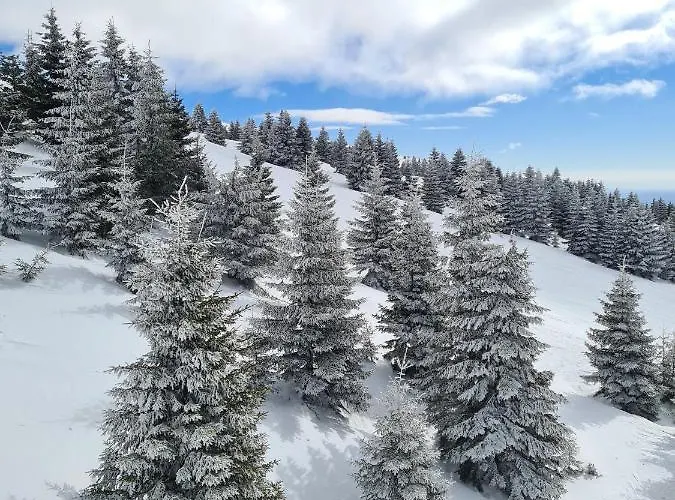 Mountain Side Apartament