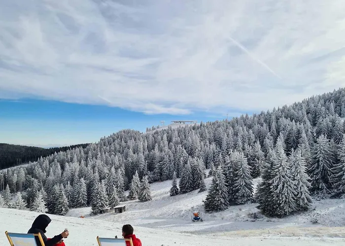 Mountain Side Kopaonik